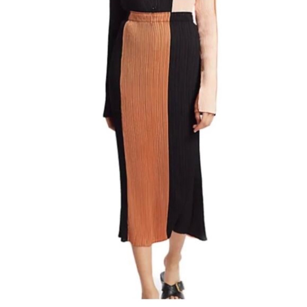 Proenza Schouler Color Block Skirt